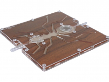 ANTCUBE - PF 20 S  - Ant - Edelholz